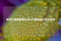 斯特兰蒂斯董事长否认与雷诺进行合并谈判