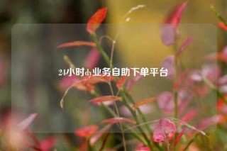24小时dy业务自助下单平台