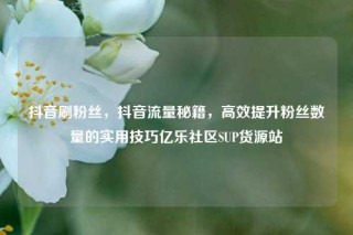 抖音刷粉丝，抖音流量秘籍，高效提升粉丝数量的实用技巧亿乐社区SUP货源站