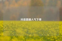抖音直播人气下单