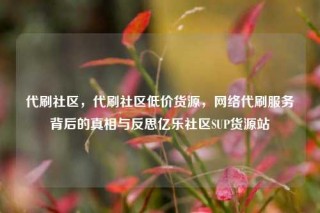 代刷社区，代刷社区低价货源，网络代刷服务背后的真相与反思亿乐社区SUP货源站