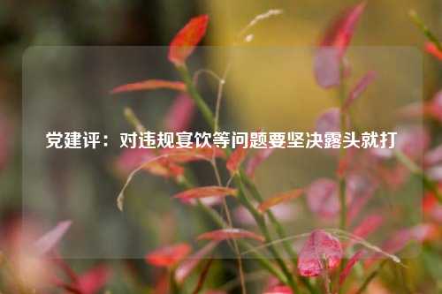 党建评：对违规宴饮等问题要坚决露头就打  第1张