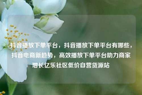 抖音播放下单平台，抖音播放下单平台有哪些	，抖音电商新趋势，高效播放下单平台助力商家增长亿乐社区低价自营货源站  第1张