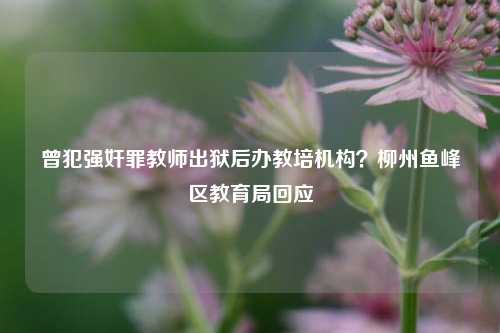 曾犯强奸罪教师出狱后办教培机构？柳州鱼峰区教育局回应  第1张