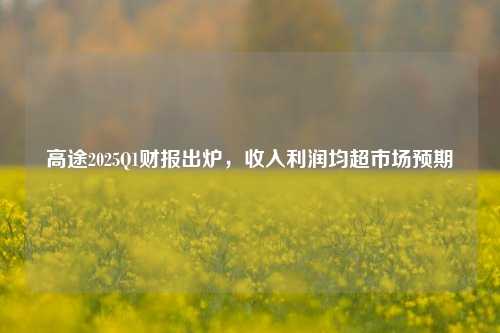 高途2025Q1财报出炉，收入利润均超市场预期  第1张