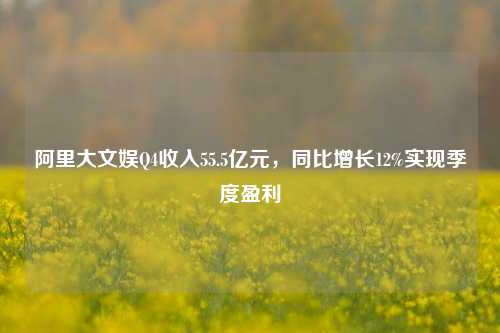 阿里大文娱Q4收入55.5亿元，同比增长12%实现季度盈利  第1张