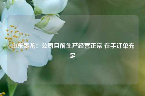 山东墨龙：公司目前生产经营正常 在手订单充足  第1张