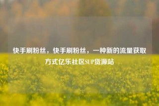 快手刷粉丝，快手刷粉丝，一种新的流量获取方式亿乐社区SUP货源站