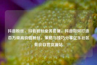 抖音粉丝，抖音粉丝业务套餐，抖音如何打造百万级高价值粉丝，策略与技巧分享亿乐社区低价自营货源站