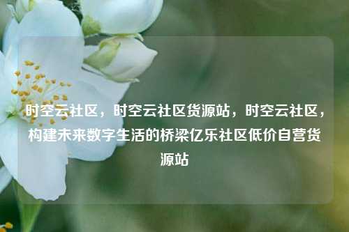 时空云社区	，时空云社区货源站，时空云社区，构建未来数字生活的桥梁亿乐社区低价自营货源站  第1张