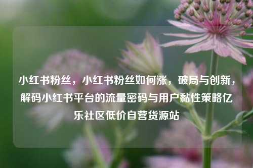 小红书粉丝，小红书粉丝如何涨，破局与创新	，解码小红书平台的流量密码与用户黏性策略亿乐社区低价自营货源站  第1张